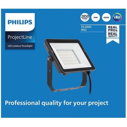 Philips - LED Utomhusstrålkastare PROJECTLINE LED/30W/230V IP65 4000K