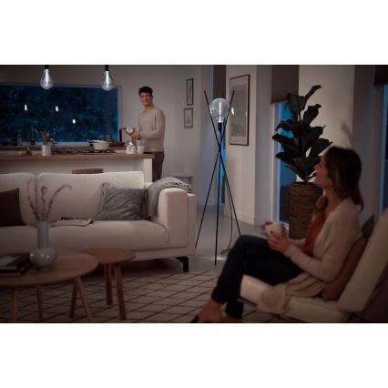 LED Dimbar Glödlampa SMOKY VINTAGE Philips E27/6,5W/230V 4000K