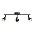 Philips - Spotlight CONDUIT 3xGU10/5W/230V svart/mässing