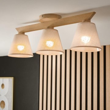 Plafondlampa ANTONIO 3xE14/40W/230V ek