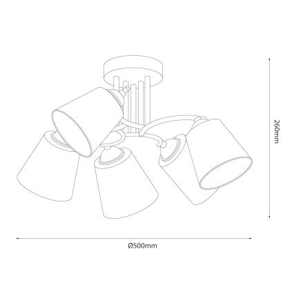Plafondlampa PAFOS 5xE27/15W/230V, svart