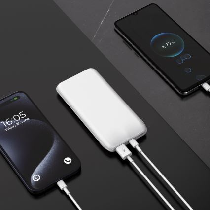 Powerbank 10000 mAh 10W Power Delivery 2xUSB-C + 1xUSB-A vit