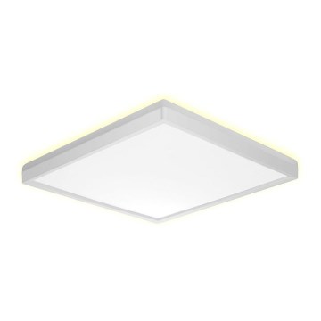 Prezent 27307 - LED taklampa för badrum CORDIA SQ LED/18W/230V 3000/6000K IP54 vit