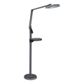 Prezent 31220 - LED dimbar touch golvlampa SALSA LED/15W/230V USB