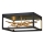 Quintiesse - LED taklampa STYX LED/8W/230V svart/guld