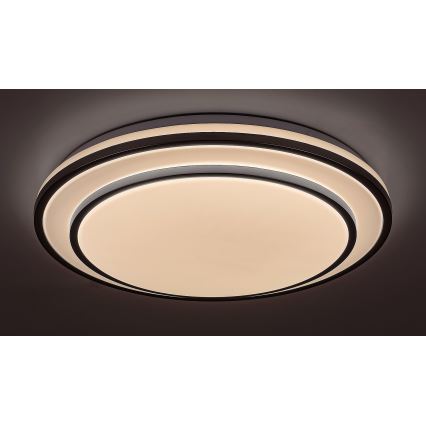 Rabalux - LED-dimmbar taklampa LED/40W/230V 3000-6500K silver Ø 49 cm + fjärrkontroll