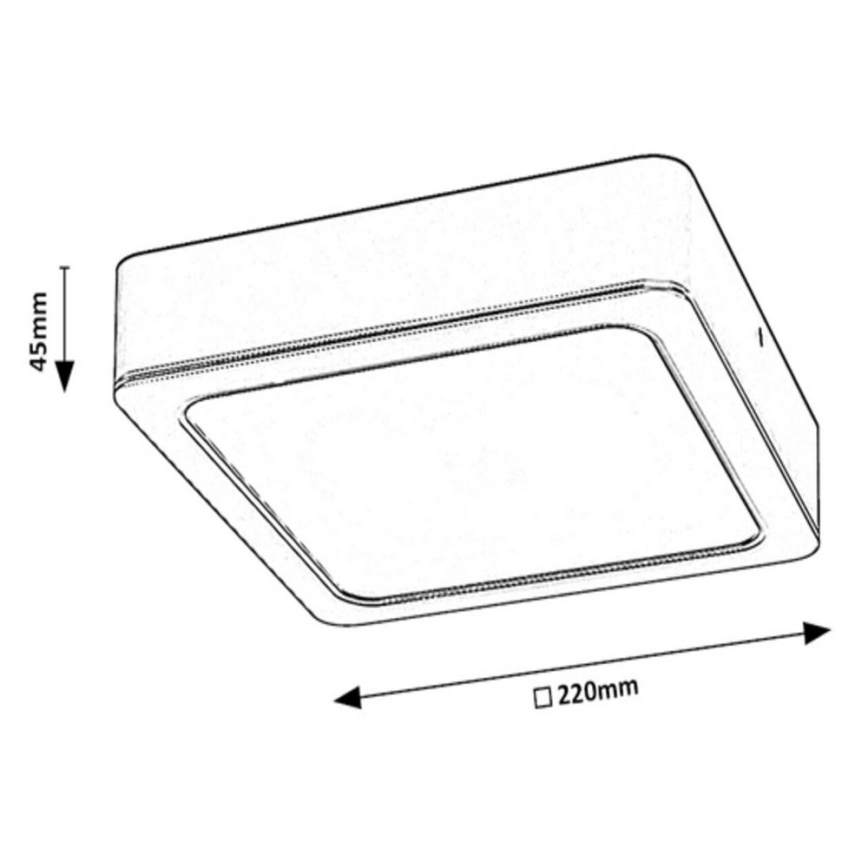Rabalux - LED Taklampa LED/24W/230V 22x22 cm