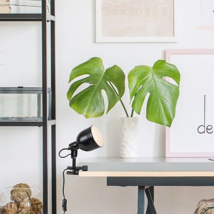 Rabalux 3092 - Spotlight med en klämma 1xE14/25W/230V svart