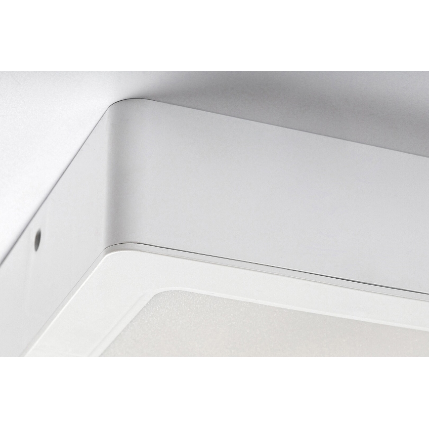 Rabalux - LED taklampa LED/12W/230V 14,5x14,5 cm