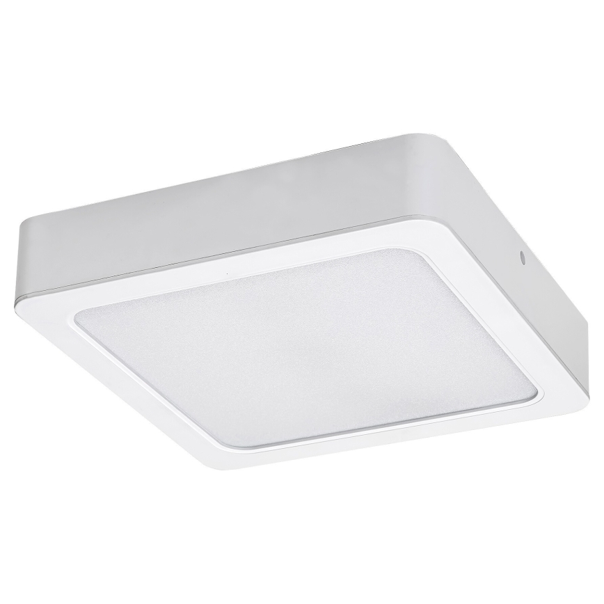 Rabalux - LED taklampa LED/18W/230V 17x17 cm