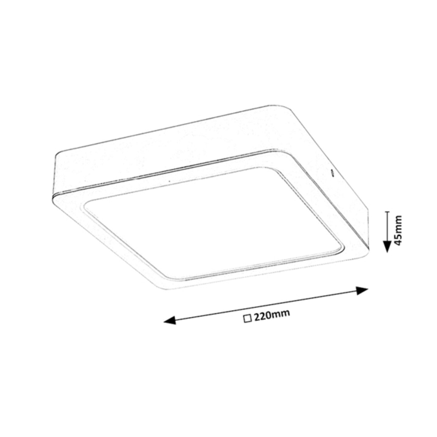 Rabalux - LED taklampa LED/24W/230V 22x22 cm