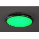 Rabalux - LED RGB Ljusreglerad vägglampa för badrum LED/18W/230V diameter 30 cm 3000-6500K IP44 + fjärrkontroll