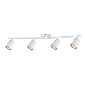 Rabalux 5048 - LED Spotlight SOLANGE 4xLED/6W/230V