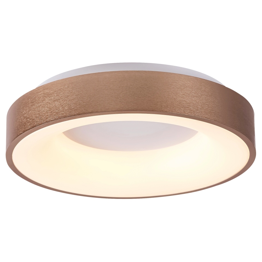 Rabalux - LED taklampa CARMELA LED/30W/230V diameter 38 cm