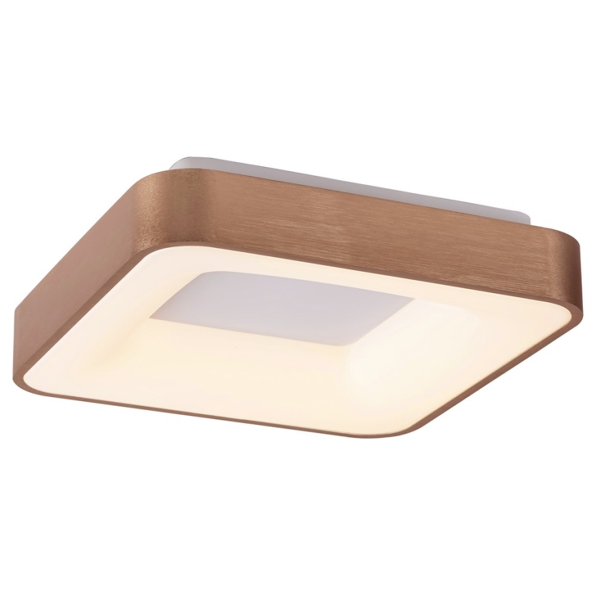 Rabalux - LED taklampa CARMELA LED/30W/230V 40x40 cm