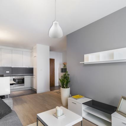 Rabalux 5059 - Ljuskrona med snöre MORRIS 1xE27/40W/230V