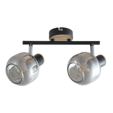 Rabalux 5398 - Spotlight SALAZAR 2xE14/40W/230V