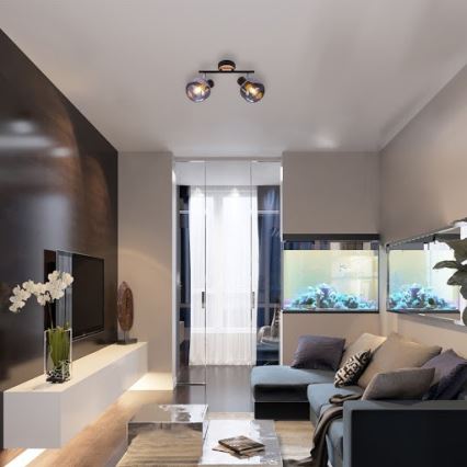 Rabalux 5398 - Spotlight SALAZAR 2xE14/40W/230V