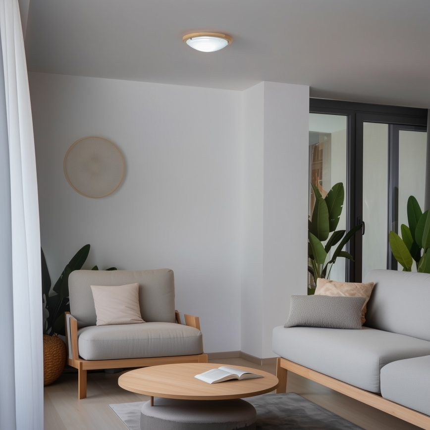 Rabalux - Taklampa 1xE27/60W/230V diameter 30 cm