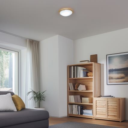 Rabalux - Taklampa 1xE27/60W/230V diameter 30 cm