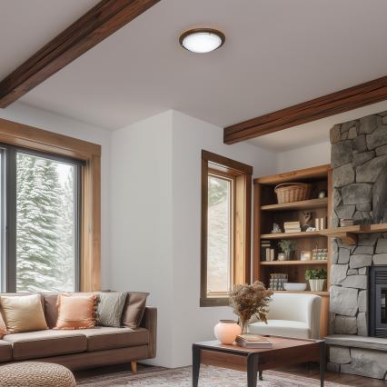 Rabalux - Taklampa 1xE27/60W/230V diameter 30 cm