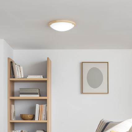 Rabalux - Taklampa 2xE27/60W/230V diameter 38 cm