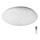 Rabalux 5540 - LED Dimbar Takbelysning DAMIEN LED/24W/230V