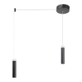 Rabalux 5641 - LED Ljuskrona med snöre ANDROMEDEA LED/14W/230V