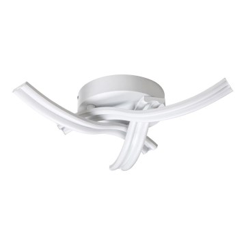 Rabalux 5889 - LED Takbelysning TULIO LED/40W/230V