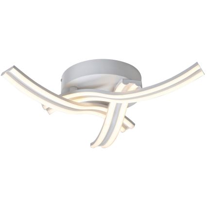 Rabalux 5889 - LED Takbelysning TULIO LED/40W/230V