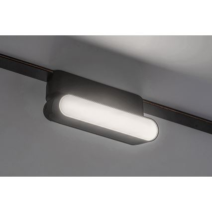 Rabalux - LED Takljus för 1-fas skenssystem LED/6W/24V 4000K 11,5 cm svart