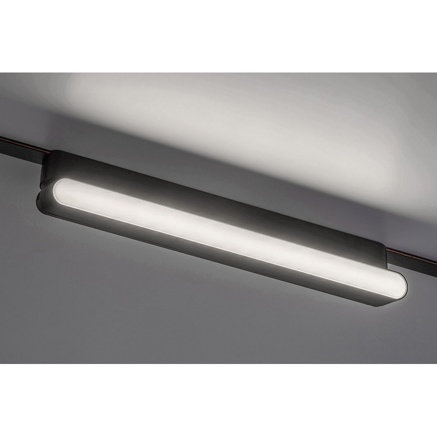 Rabalux - LED Takljus för 1-fas skenssystem LED/16W/24V 4000K 33 cm svart