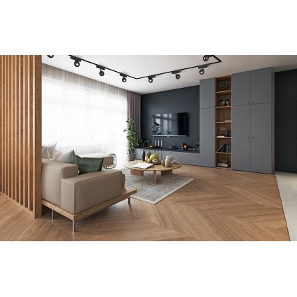 Rabalux - LED Spotlight för 1-fas skensystem LED/5W/24V 4000K svart