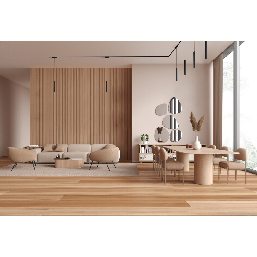 Rabalux - LED ljuskrona med textilsladd för 1-fas skensystem LED/5W/24V 4000K svart