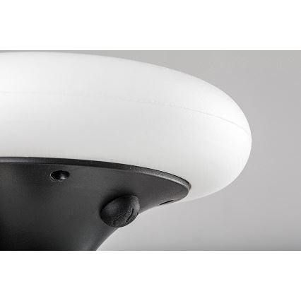 Rabalux - LED RGB Solcellslampa LED/0,6W/3,7V IP65 1200 mAh