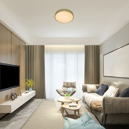 Rabalux - LED dimbar taklampa LED/60W/230V 3000-6000K + fjärrkontroll Ø 60 cm