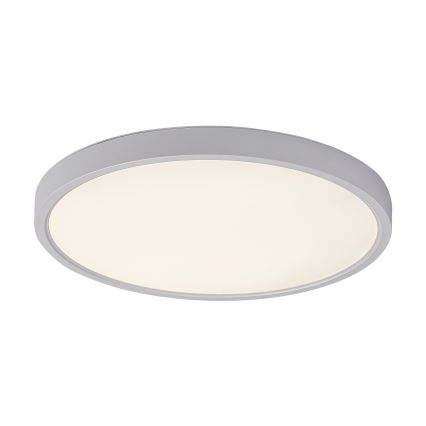 Rabalux - LED taklampa LED/24W/230V 4000K diameter 30 cm vit