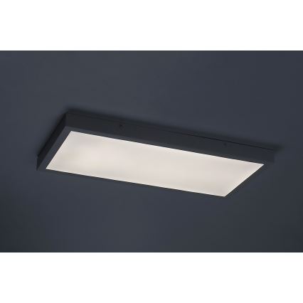 Rabalux - LED fäst panel LED/24W/230V 4000K 60x30 cm