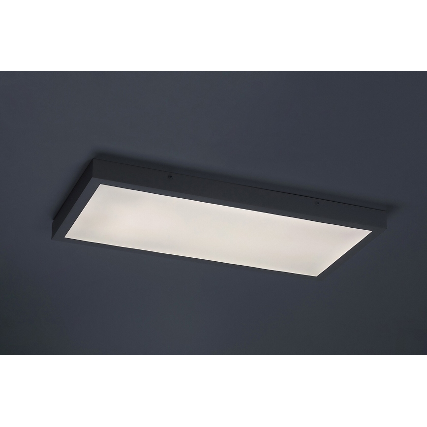 Rabalux - LED fäst panel LED/24W/230V 4000K 60x30 cm