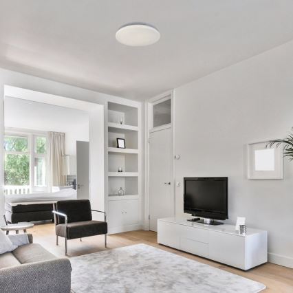 Rabalux - LED-taklampa LED/12W/230V 4000K Ø 25,5 cm