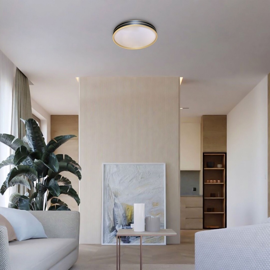 Rabalux - LED-dimbar takarmatur LED/24W/230V 3000-6500K Ø 39 cm + fjärrkontroll