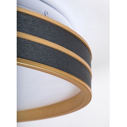 Rabalux - LED-dimbar takarmatur LED/24W/230V 3000-6500K Ø 39 cm + fjärrkontroll