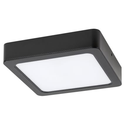 Rabalux - LED taklampa LED/24W/230V 4000K 22x22 cm svart