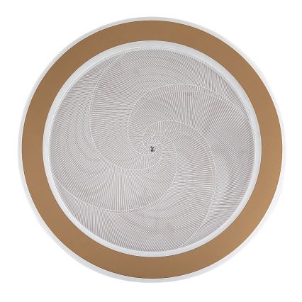 Rabalux - Dimbart LED-takarmatur LED/24W/230V 3000-6500K Ø 40 cm + fjärrkontroll