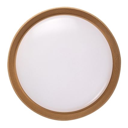 Rabalux - LED Dimbar taklampa LED/48W/230V 3000-6500K + fjärrkontroll