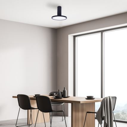 Rabalux - LED-taklampa LED/20W/230V 3000K svart Ø 20 cm
