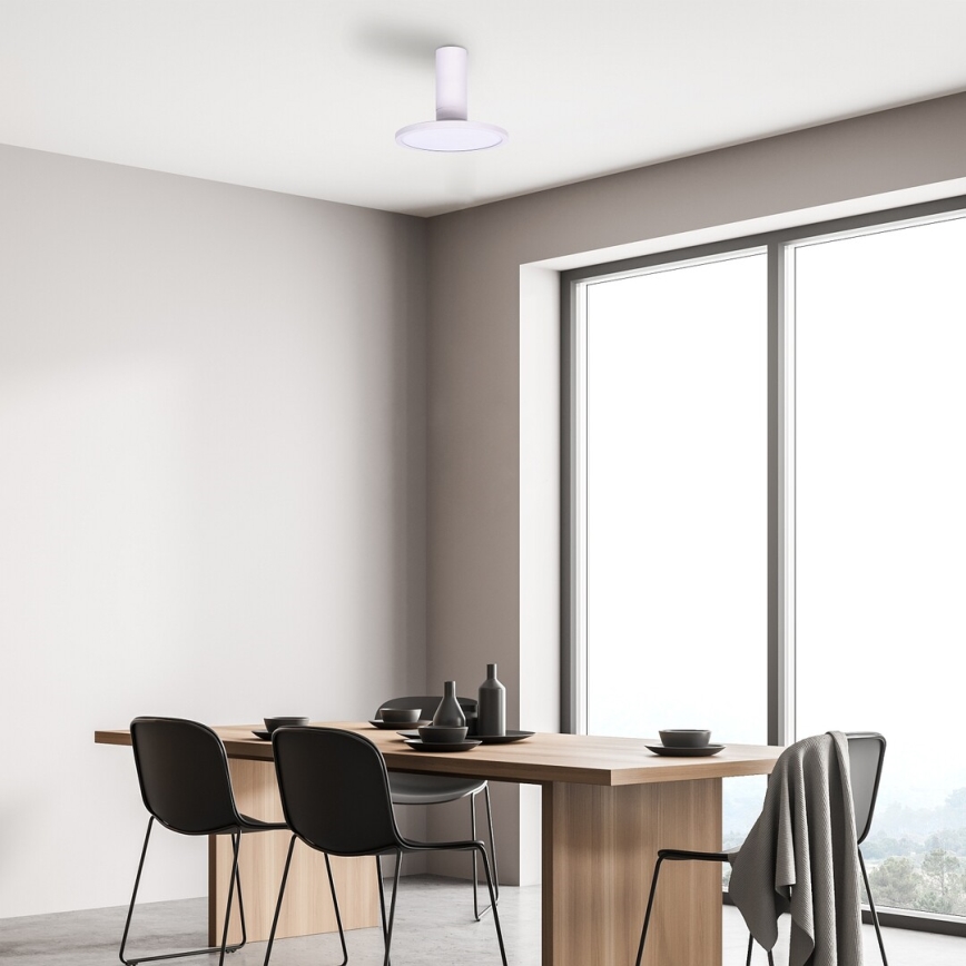 Rabalux - LED-taklampa 20W/230V 3000K vit Ø 20 cm
