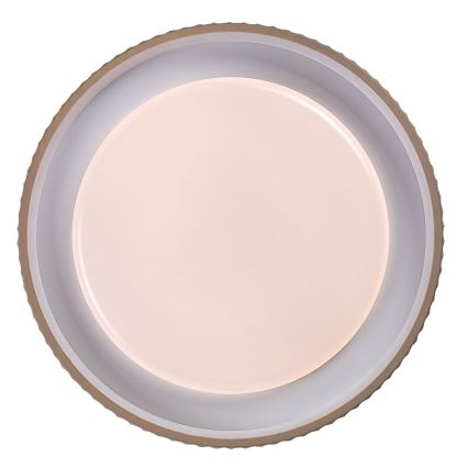 Rabalux - Dimmbar LED-taklampa LED/48W/230V 3000-6500K Ø 49,5 cm + fjärrkontroll