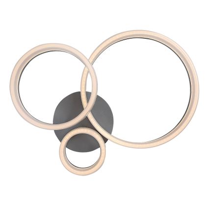 Rabalux - LED-taklampa LED/24W/230V 3000/4000/6500K 38x51 cm mattkrom