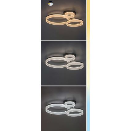 Rabalux - LED-taklampa LED/24W/230V 3000/4000/6500K 38x51 cm mattkrom